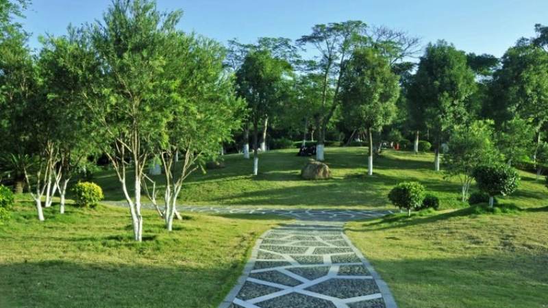 中超联赛直播在哪里看?观赛渠道与信号质量判断方法